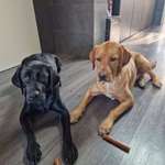 Ersteller:in Christian Profilbild