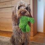 Ersteller:in Britta Profilbild