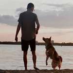 Ersteller:in Rainer Profilbild