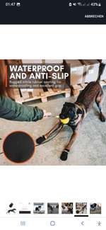 Hallo ,hat jemand Erfahrung mit den Schuhen von Non-stop Dogwear "Protector Bootie"-Beitrag-Bild