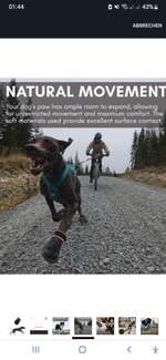 Hallo ,hat jemand Erfahrung mit den Schuhen von Non-stop Dogwear "Protector Bootie"-Beitrag-Bild