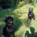 Ängste-Beitrag-Bild