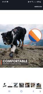 Hallo ,hat jemand Erfahrung mit den Schuhen von Non-stop Dogwear "Protector Bootie"-Beitrag-Bild