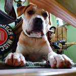 Ersteller:in Laura Profilbild