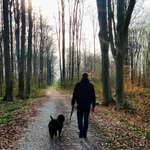 Ersteller:in Sascha Profilbild