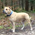 Ersteller:in Michelle Profilbild