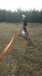 Hundeauslaufgebiet-Rund um den Flugplatz-Bild
