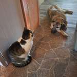 Ersteller:in Stefanie Profilbild