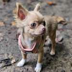 Ersteller:in JOHANNA Profilbild