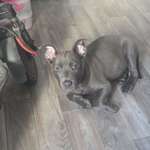 Ersteller:in Murat Profilbild