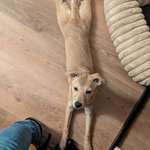 Ersteller:in Marcel Profilbild