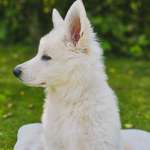 Ersteller:in Julia Profilbild