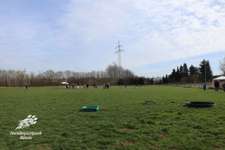 Hundeauslaufgebiet-Hundefreilauf Bünde-Bild