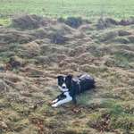 Ersteller:in Julia Profilbild