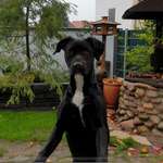 Ersteller:in Netti Profilbild