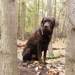 Ersteller:in Asa Profilbild