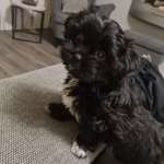 Ersteller:in Aileen Profilbild