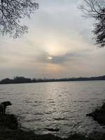 Hundeauslaufgebiet-See im großen Moor-Bild