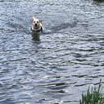 Ersteller:in Monika Profilbild