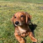 Ersteller:in Alicia Profilbild