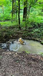 Hundeauslaufgebiet-1000 Quellenweg-Bild