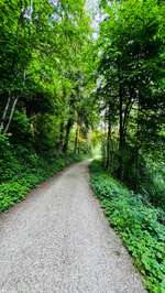 Hundeauslaufgebiet-1000 Quellenweg-Bild