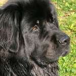 Ersteller:in Stefanie Profilbild