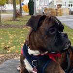 Ersteller:in Tanja Profilbild