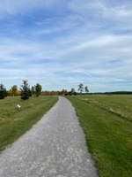 Hundeauslaufgebiet-Am Hangar 21 /Flugplatz-Bild