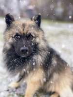 Der erste Schnee, zeigt uns eure tollen Schneemomente-Beitrag-Bild