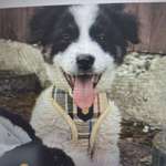 Ersteller:in Martina Profilbild