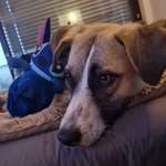 Ersteller:in Michelle Profilbild