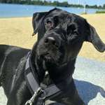 Ersteller:in Karsten Profilbild