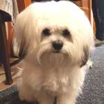 Ersteller:in Jutta Profilbild