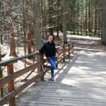 Ersteller:in Verena Profilbild