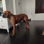 Ersteller:in julia Profilbild