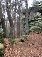 Hundeauslaufgebiet-Buchstein-Bild