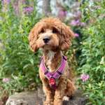 Ersteller:in Robert Profilbild