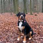 Ersteller:in Denise Profilbild