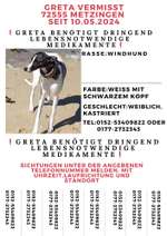 Suchmeldung-Greta-Bild