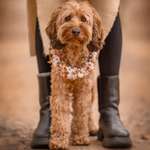 Ersteller:in Pauline Profilbild