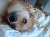 Relaxen im bett-Beitrag-Bild