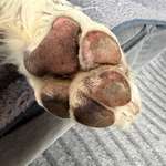 Hyperkeratose?-Beitrag-Bild