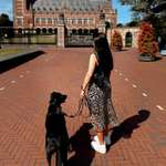 Ersteller:in Verena Profilbild