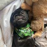 Ersteller:in Madeleine Profilbild