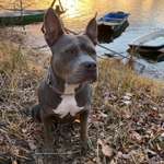 Ersteller:in Lizzy Profilbild