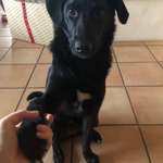 Ersteller:in Ines Profilbild