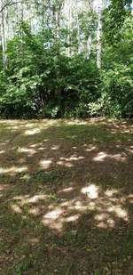 Hundeauslaufgebiet-Lenther Chausee-Bild