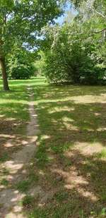 Hundeauslaufgebiet-Lenther Chausee-Bild