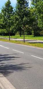 Hundeauslaufgebiet-Lenther Chausee-Bild